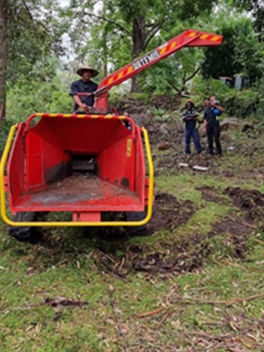 Land Clearing | Tree Removal Sydney | SCMTS
