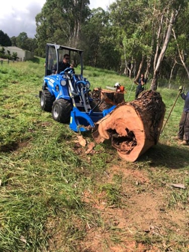 Pull Out Stump | Tree Removal Sydney | SCMTS