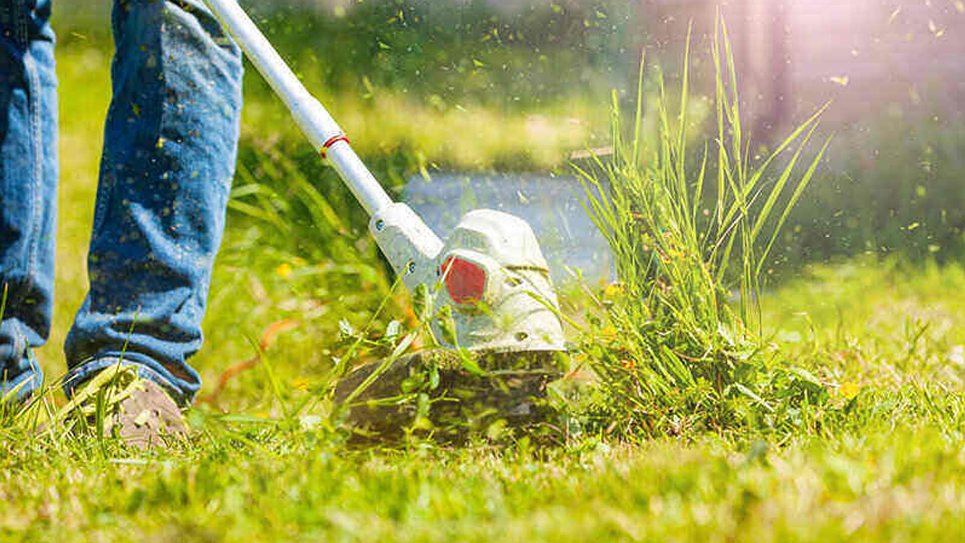 Brush Cutting Services Sydney Grass Cutting SCMTS Arbor Works