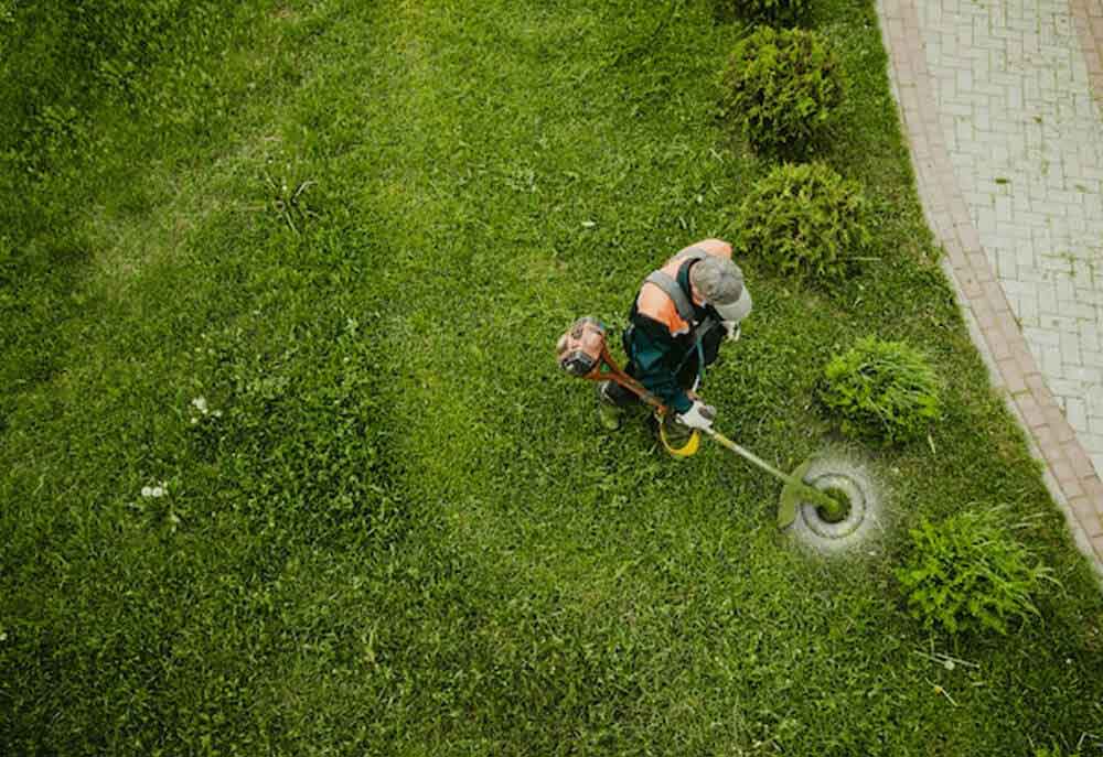 Mowing | Tree Services for Government Bodies