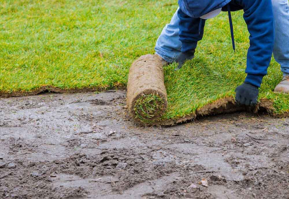 landscaping grass removal|tree removal Sydney|scmts