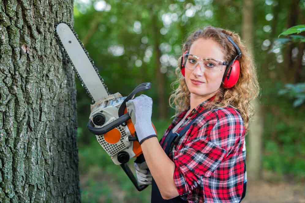 Best Tree Removal Service Forest Lodge
