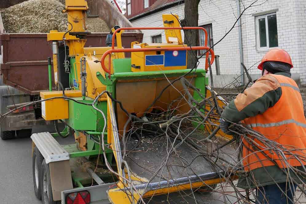 camperdown removal service |tree removal sydney| scmts